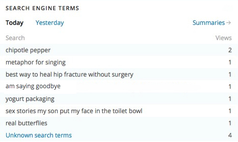 Every day, my blog’s stats page lists search terms that people use to find my blog. I was a bit startled by the one mentioning my son putting my face in the toilet bowl. That was before I wrote this story, too!