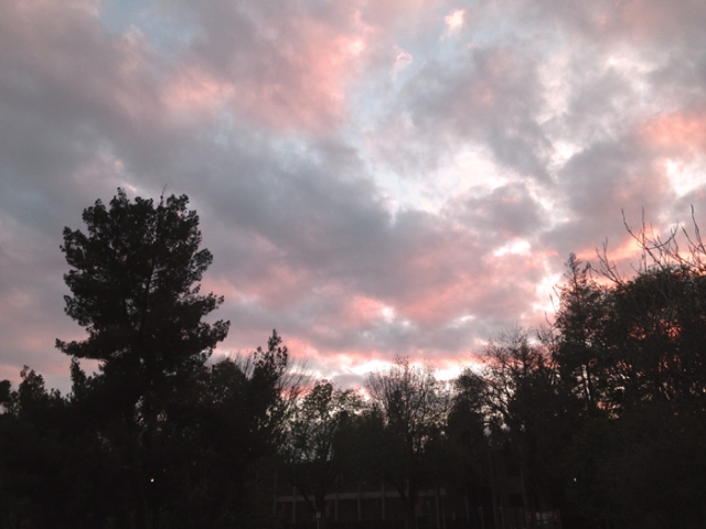 Pink clouds in the sky 2