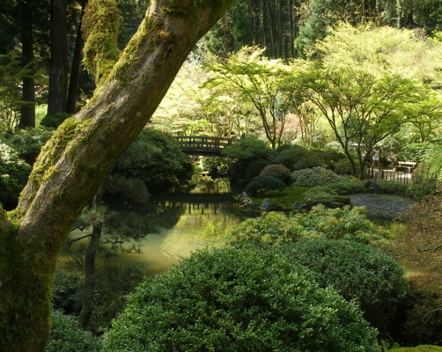garden bridge in green