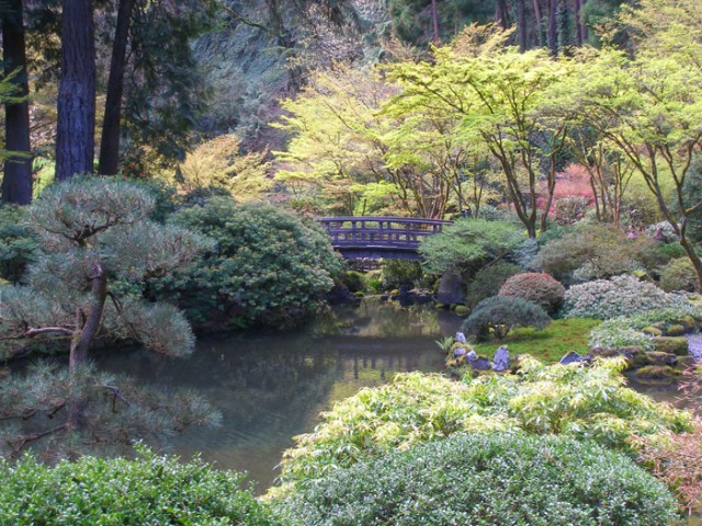Japanese garden bridge