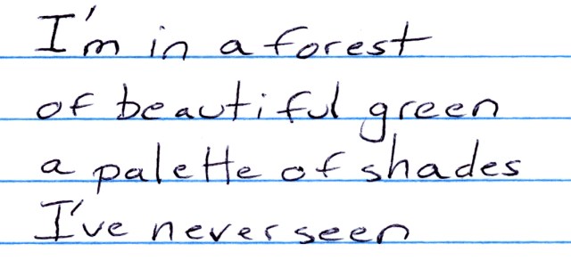 I'm in a forest of green