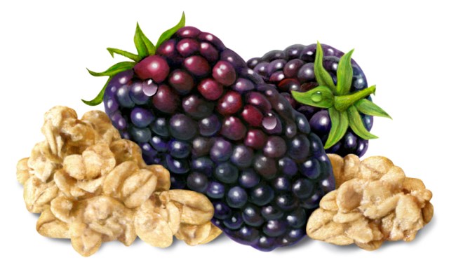 Marion Berry Oat Final Art