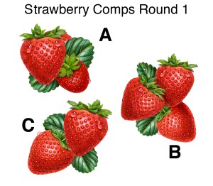 Strawberry Comps Round 1