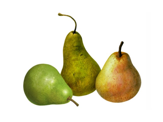 Pears Three