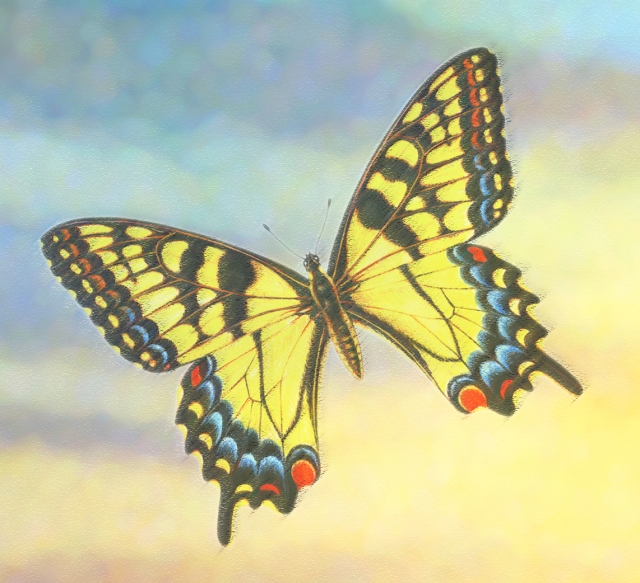 Butterfly of grief pastel