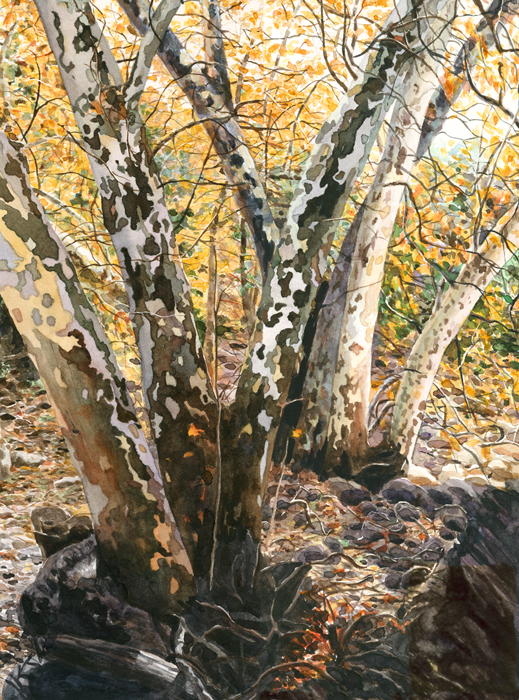 This watercolor painting of mine was used for a memorial plaque I created for Jason. It hung in the hallway where he attended preschool. Autumn triggers many feelings for me.