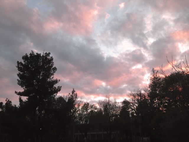 I really do love looking at “pink clouds in the sky.” 