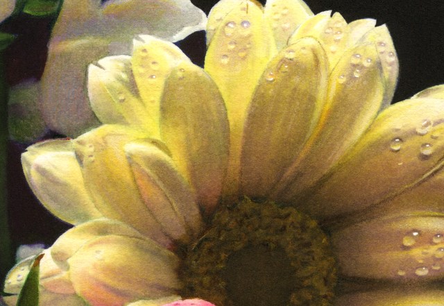 Flower Medley closeup 2