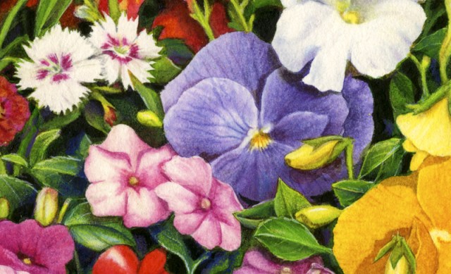 Flower Pallette cropped