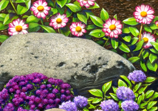 Garden rock close-up