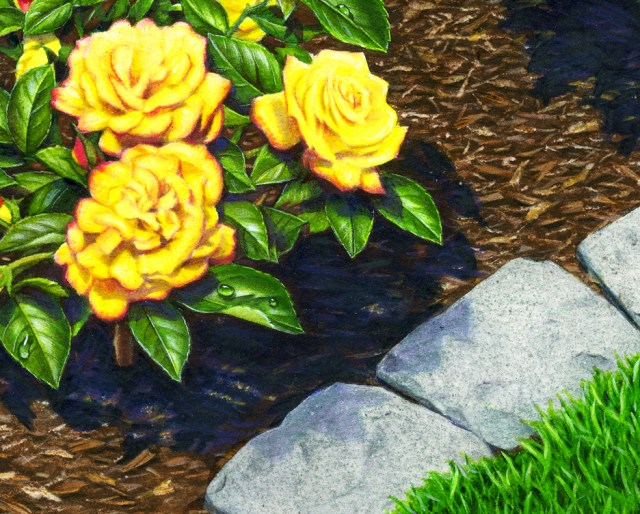 Yellow roses cropped