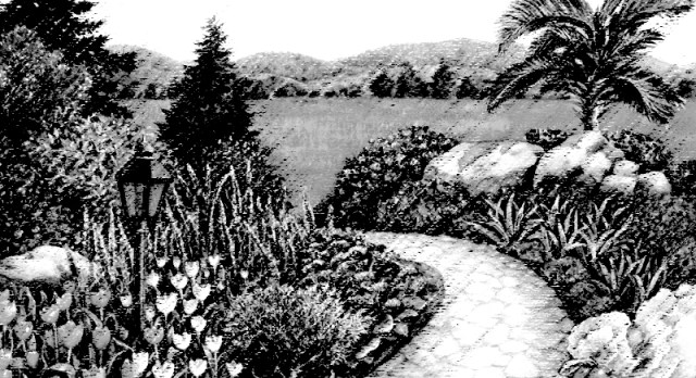 Garden Path 2 B&W