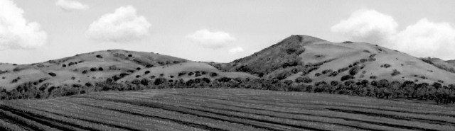 rolling hills B&W