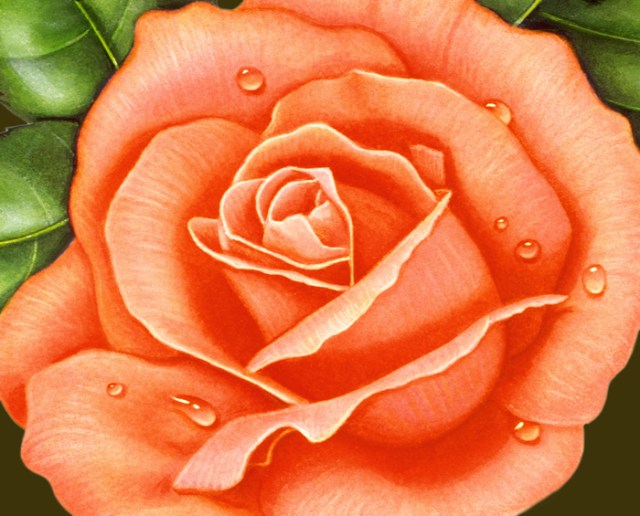 I have interspersed close-ups of my original artwork throughout this post.