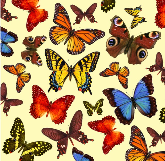I love butterflies. I created the wallpaper and header for this blog from these illustrations of mine.