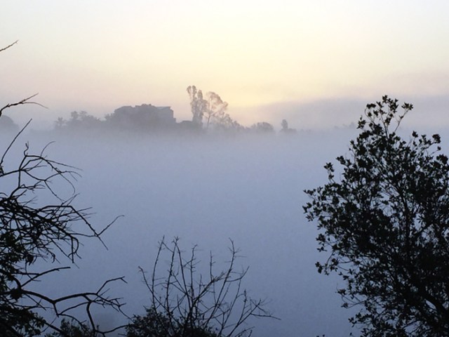 My friend, Joni, sent this picture to me. She takes morning hikes and sends me sweet messages along with her photos. Last week, I was discouraged about my music but now I’m feeling better.