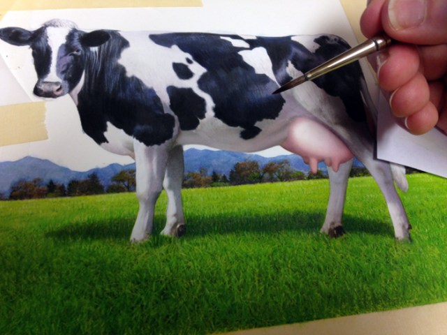 My illustration assignment for Tillamook was “moooving” along when I painted this cow. It was an “udderly” delightful project, to say the least. I know I should “cud” out telling cow puns already!