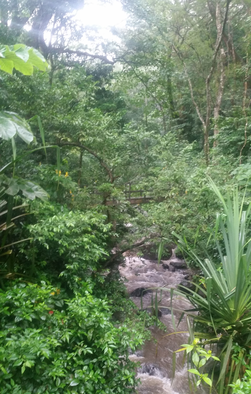 hiking-to-the-hotspring