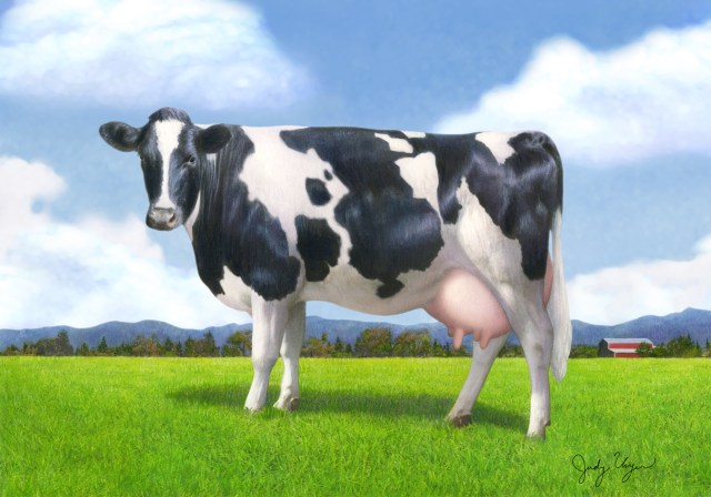 This was one of my favorite illustrations from 2016. I added the sky (so I could make a print for my sister-in-law). Originally, the illustration had a white background and was used for a Tillamook yogurt label.