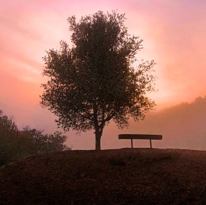 Healing Grief Guitar Piano Medley
